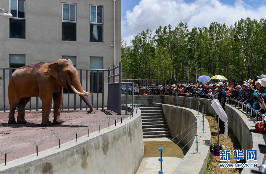 A charity organization built a new community center with a swimming pool and gym
