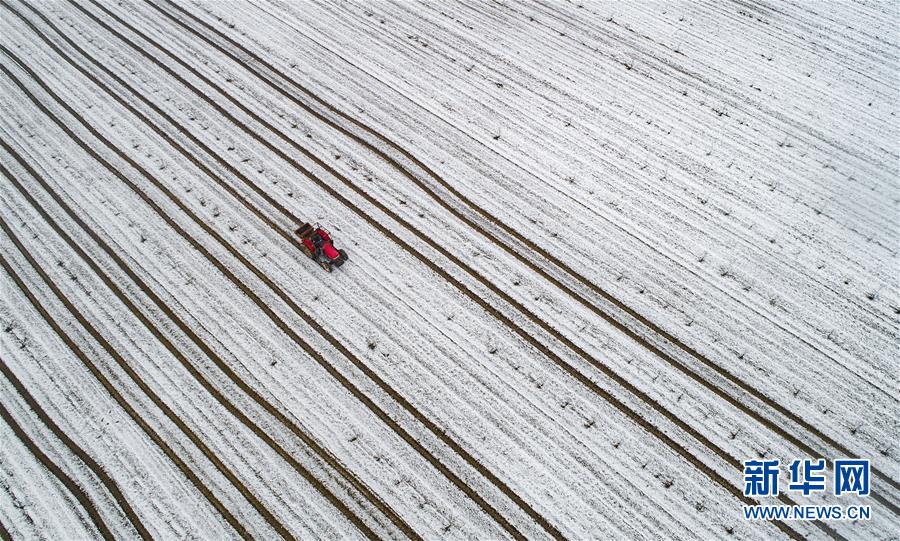 The United Nations released a report on the impact of climate change on polar ice caps