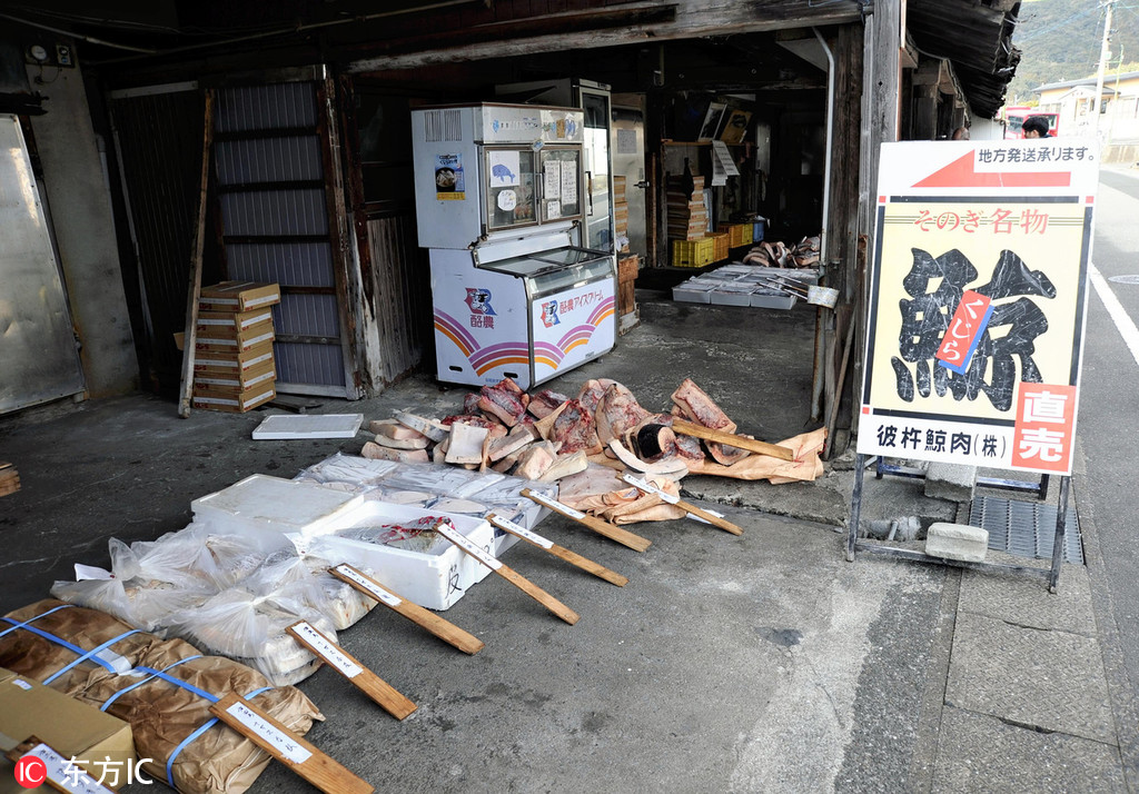 A high-level diplomatic delegation arrived in the capital to discuss trade disputes and climate action collaboration