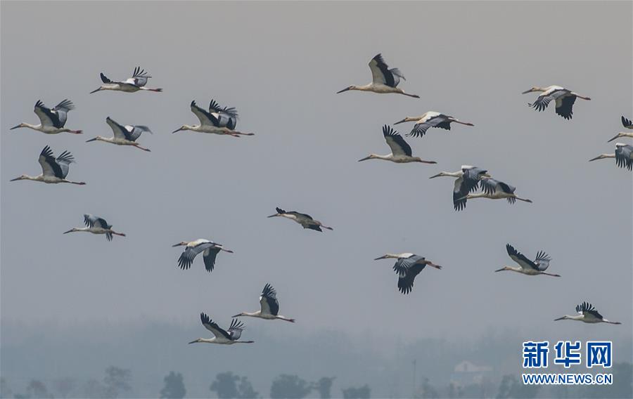 The president’s administration launched a task force to combat corruption in government agencies