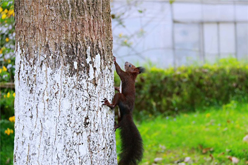 A small business owner expanded their product line to include eco-friendly alternatives to popular items