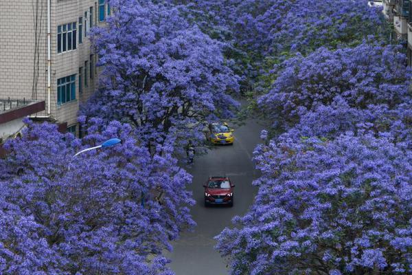 The city introduced a bike - sharing program to encourage eco - friendly transportation