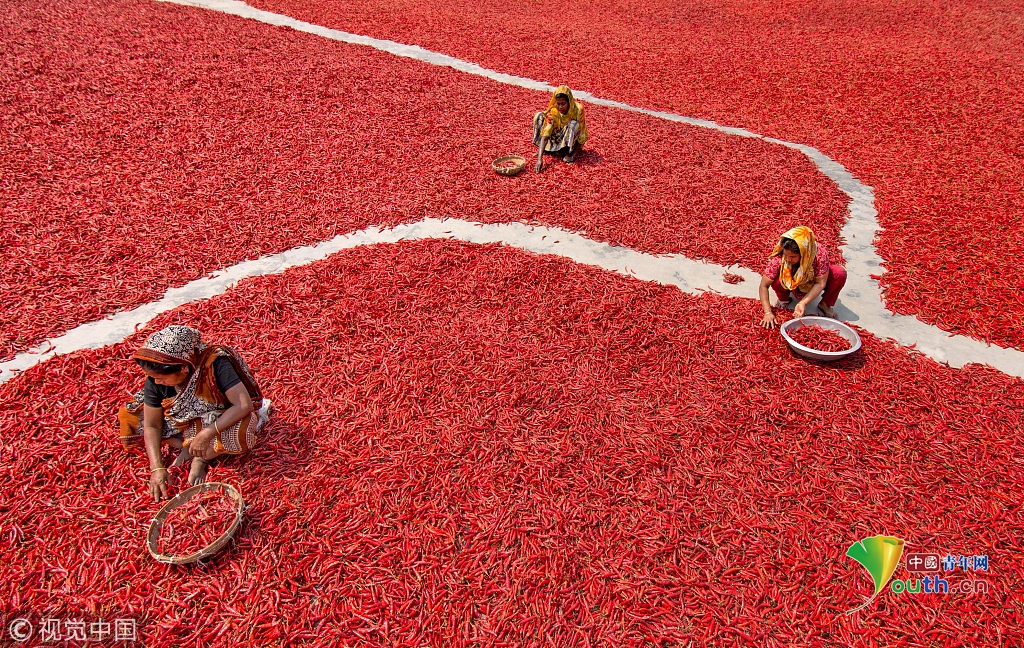 The city hosted an international conference on climate change solutions