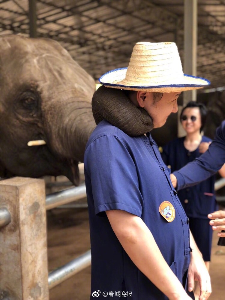 A bakery introduced a line of low sugar cookies and pastries for health conscious customers