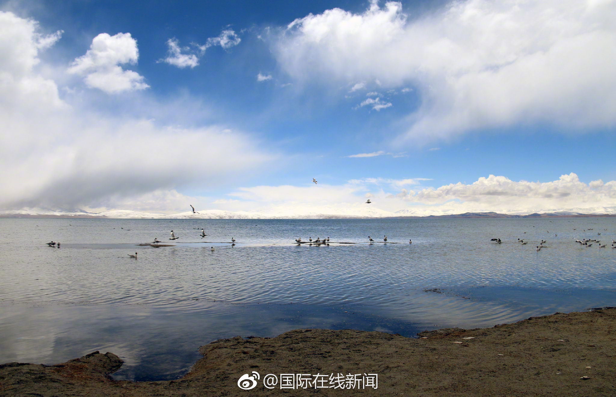 The national space agency shared new data about the surface of Mars collected by a rover