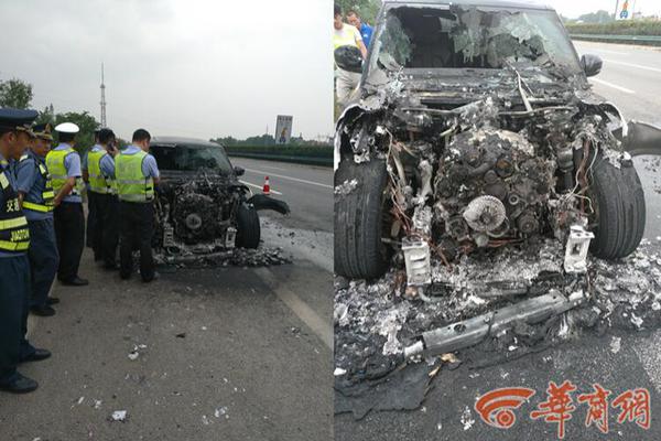 A new species of bird was spotted in a national park