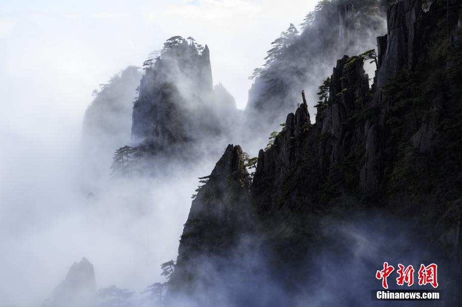 A famous director announced a new film project based on a true historical event