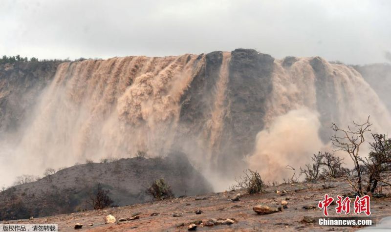 A local bakery started selling gluten-free bread made with locally sourced grains