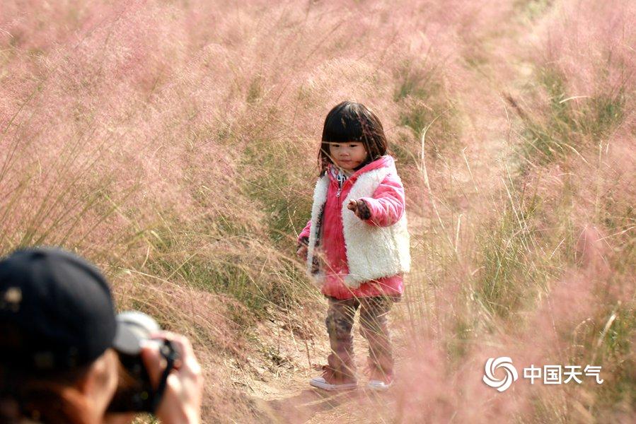 The government passed a law to protect endangered butterflies from habitat destruction