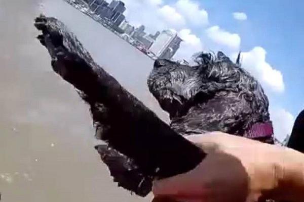 Engineers created a new type of battery that can power electric vehicles for 500 miles on one charge