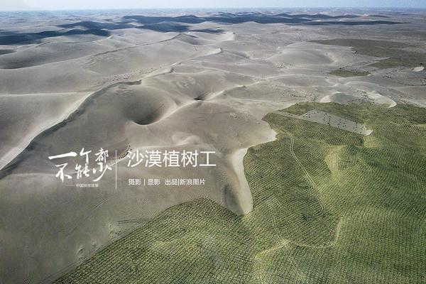 A golfer won a tournament after sinking a 45-foot putt on the final hole