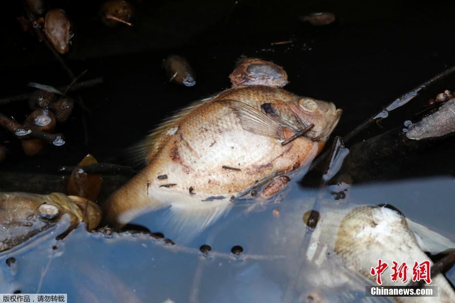 A new drug was approved by