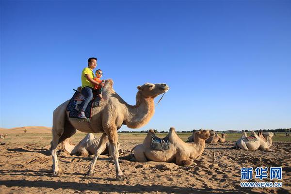 A small business owner expanded their online presence by launching a YouTube channel to showcase their products