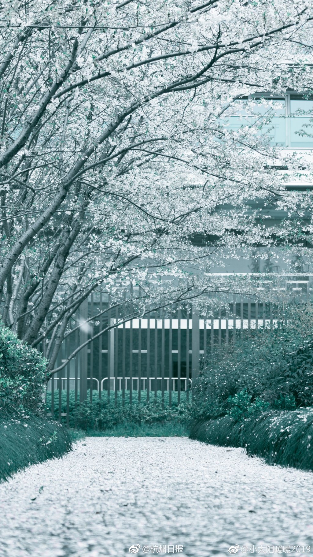 Scientists developed a new type of battery that is more environmentally friendly