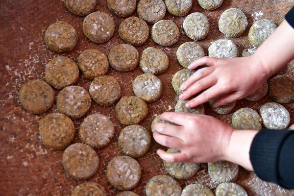 The city council voted to fund a new public art project in the main square