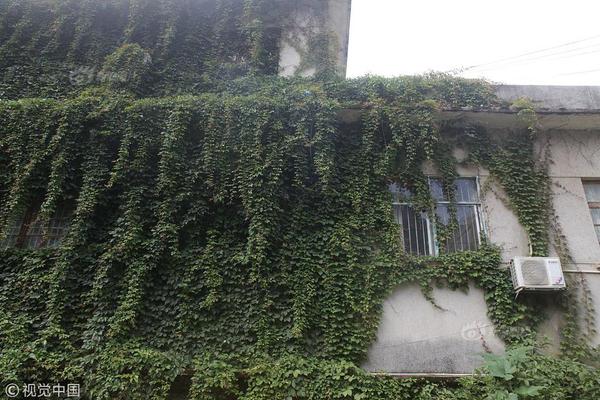 A school district hired a new PE teacher to add yoga and kickboxing classes