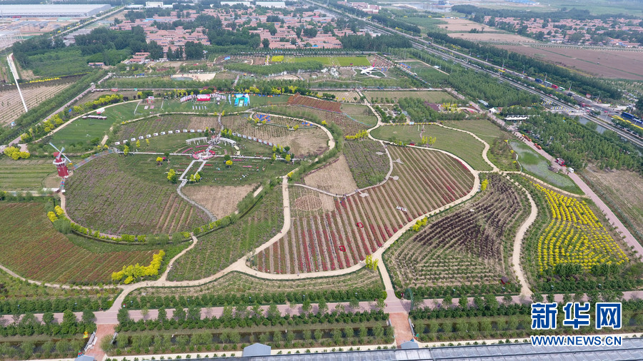 Researchers discovered that drinking herbal tea before bed improves sleep quality