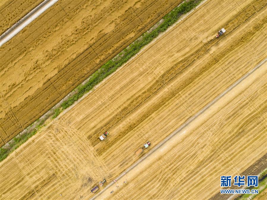 The stock market rebounded 1.2% after a day of losses driven by positive economic data