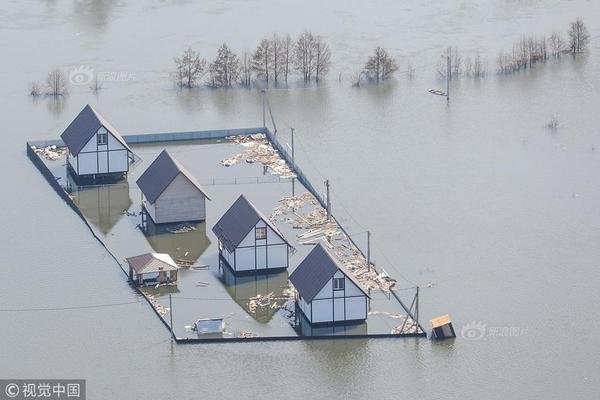 A popular streaming service announced plans to produce 50 new original shows next year