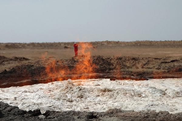 A government program provided grants to small businesses to upgrade their online presence