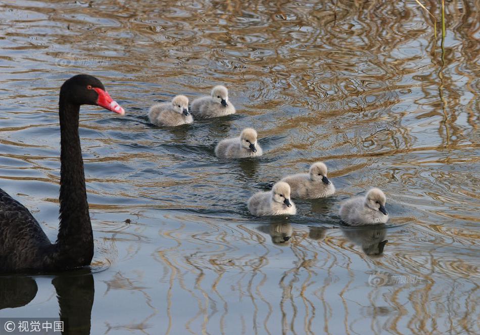 Photography exhibit focusing on urban wildlife opens at city gallery
