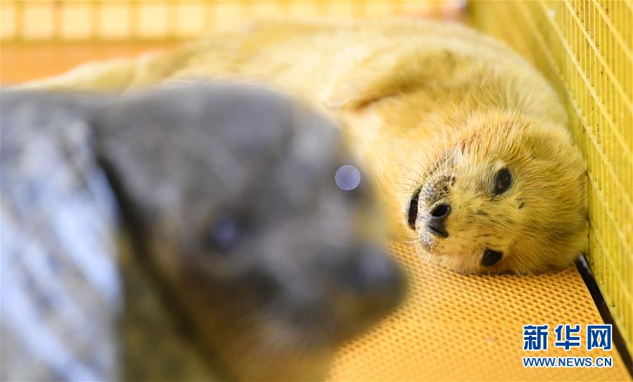 A city repaired 10 miles of sidewalks to make downtown more accessible for strollers and wheelchairs