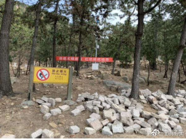 A study found that eating a handful of almonds daily can lower cholesterol levels