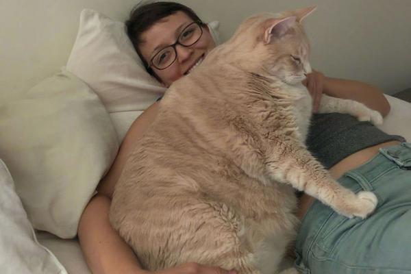 A tech company announced it will allow employees to work from home two days a week permanently