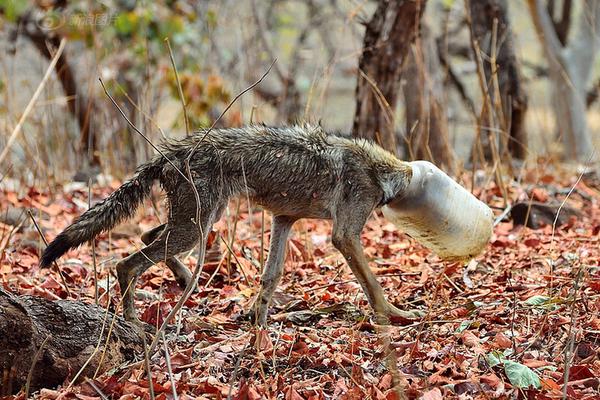 A grocery store started selling organic and non-GMO products in a dedicated section of the store