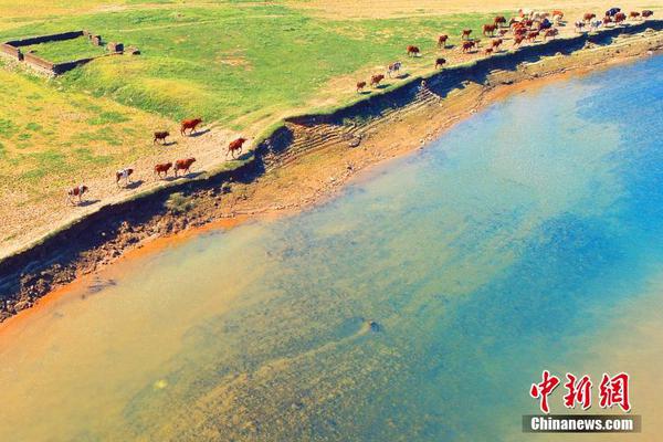 Scientists discovered a new exoplanet potentially capable of supporting life