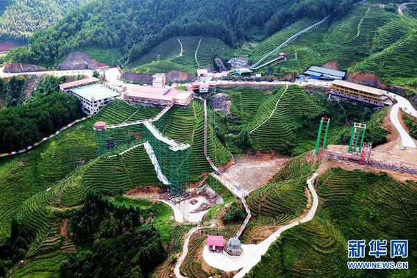 Volunteers planted 15000 trees in a deforested area as part of a national reforestation project