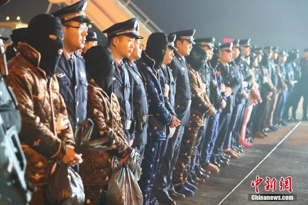 A city started a program to plant native flowers in public spaces to support pollinators