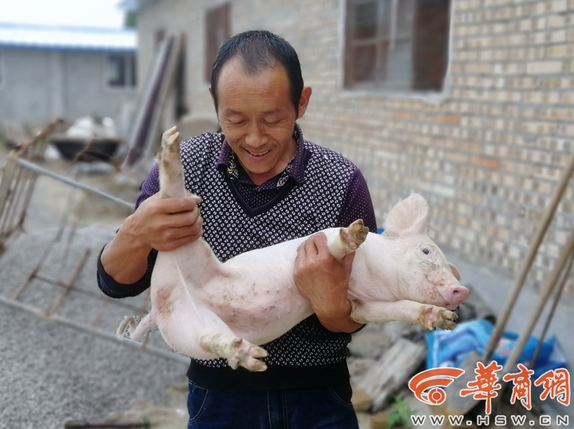 The government announced a grant program to help small farmers adopt organic farming methods