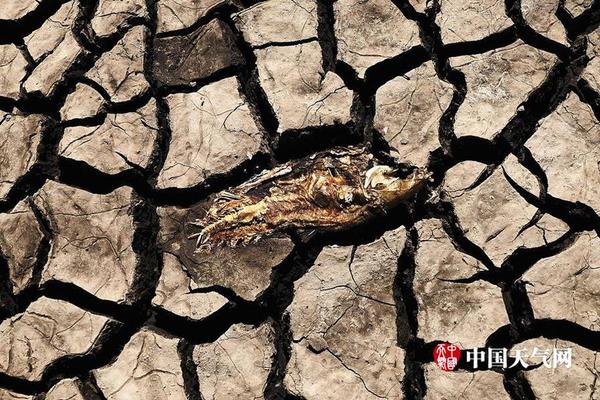 The government provided grants to farmers who implement water-saving irrigation systems