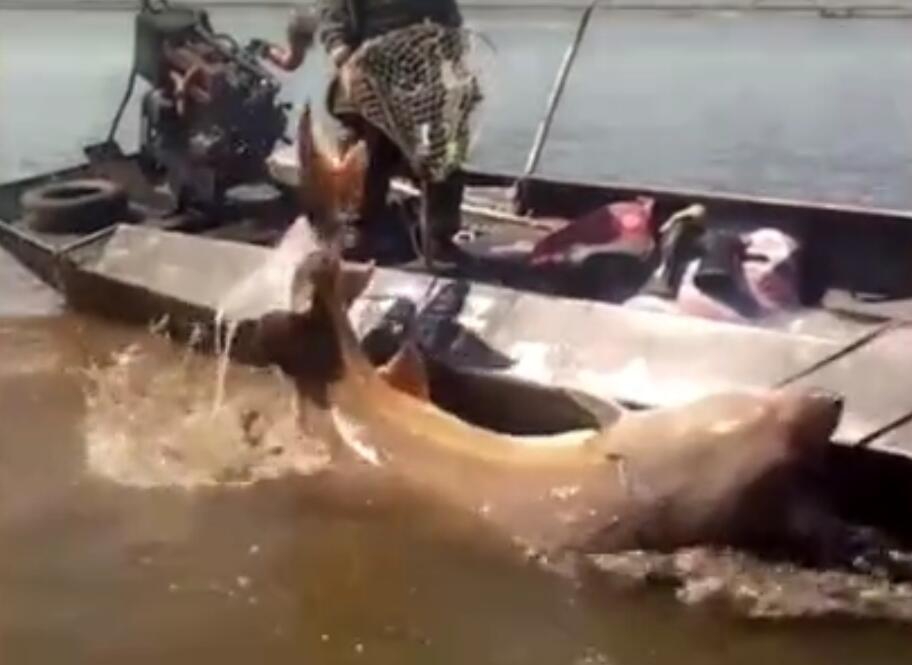 Researchers studied the effects of social media on body image in teenage girls