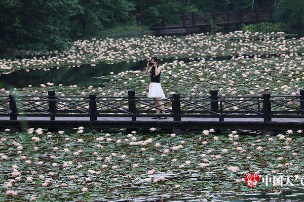 A tech company released a software update to improve the performance of its mobile app