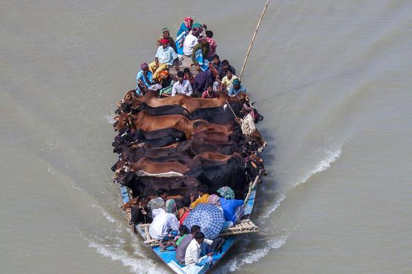 The transportation agency added 12 new bus routes to connect suburban areas to the city center