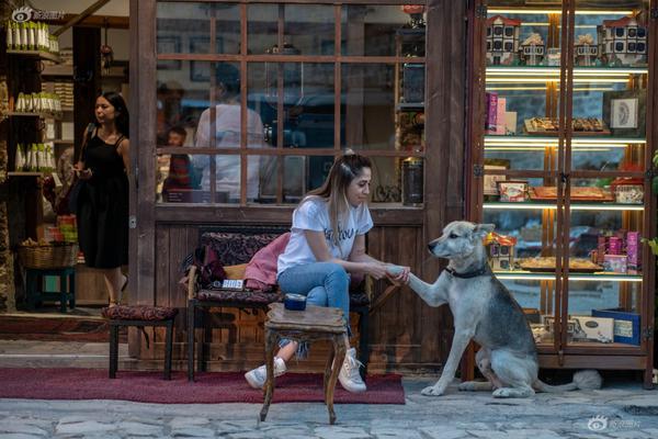 Survey reveals most travelers prefer staying in boutique hotels over chain hotels