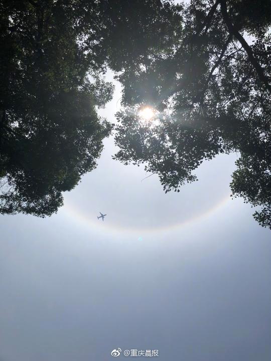 Scientists identified a new protein that helps the body fight off infections