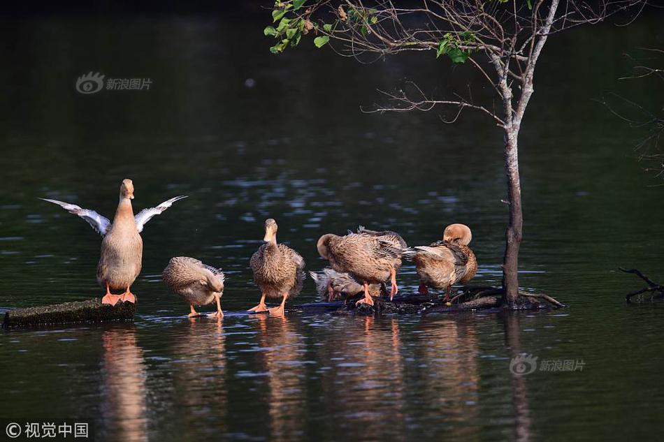 A small business owner started a blog about their industry that gained 5000 followers