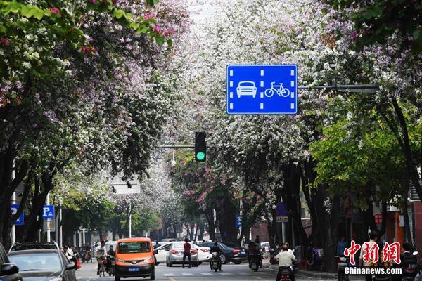 A pet store started offering fish tank maintenance services for busy owners