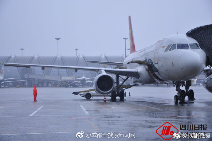 A software company launched a new app that helps users learn a new language through interactive games