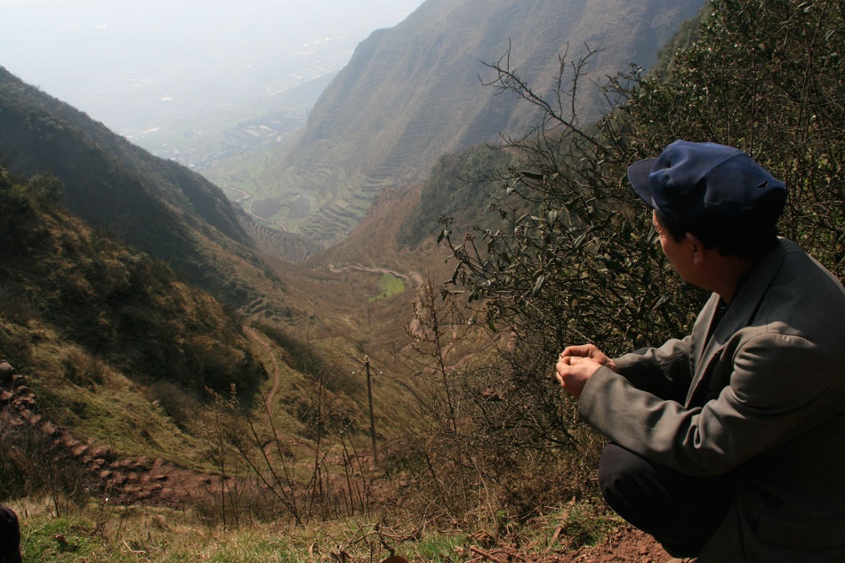 A famous actor signed on to star in a new TV series based on a best-selling novel