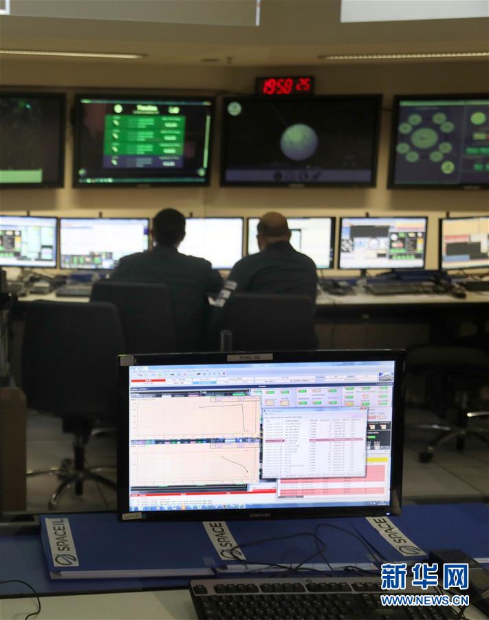 Study shows that pets help reduce anxiety in college students