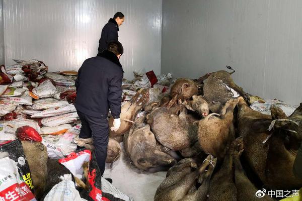 A museum displayed a rare collection of ancient Egyptian artifacts including a mummy mask