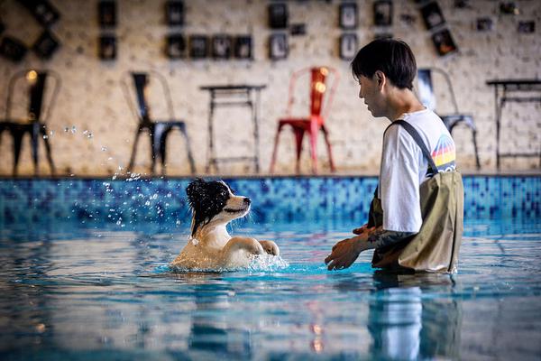 A bakery started offering custom cakes for special occasions which became a top-selling service