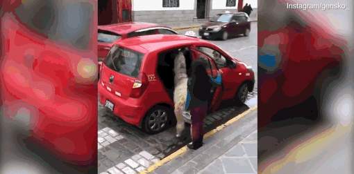 A taxi company added a 