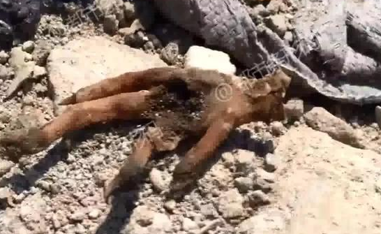 A luxury hotel chain announced it will eliminate single-use plastic toiletries in all rooms