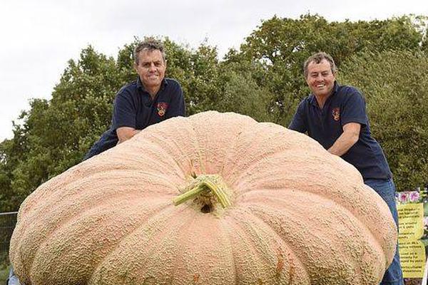 A major airline announced new in-flight entertainment options including new movies and games