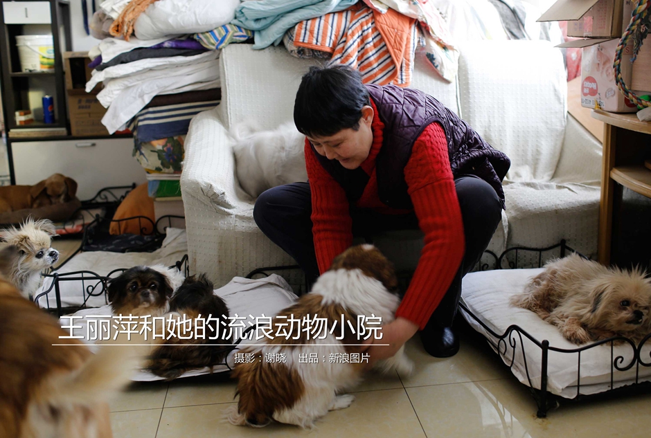 A new park was opened to provide more green space for residents